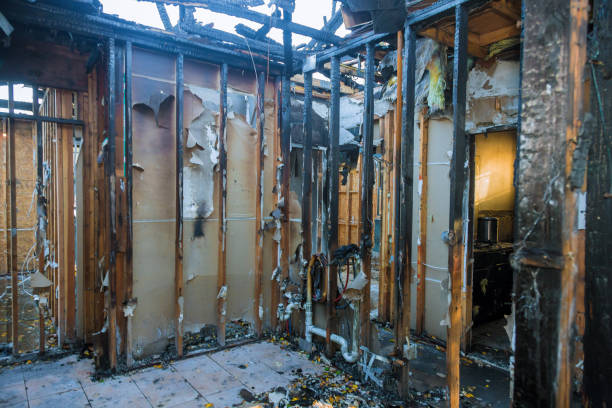 Professional Smoke Damage Removal technician working in Capitola, CA